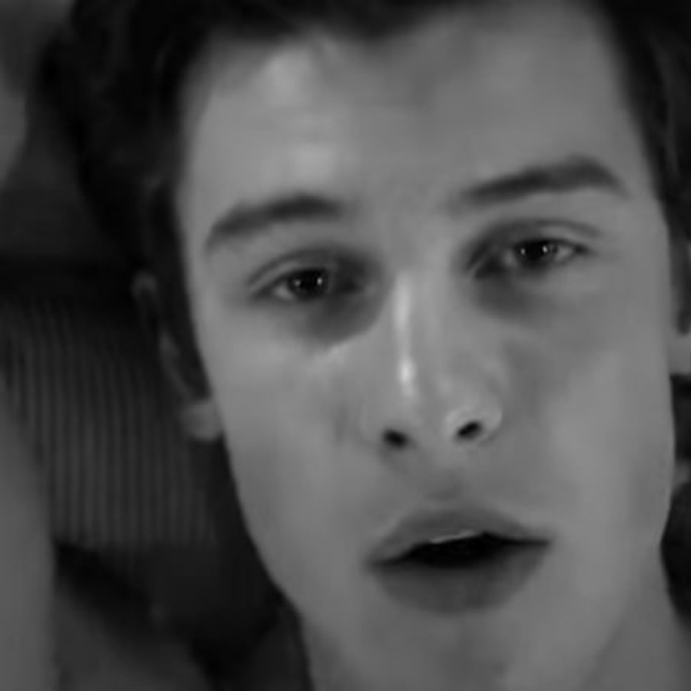 Shawn mendes